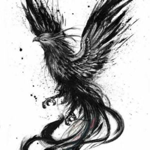 Meet your Posher, Jareth